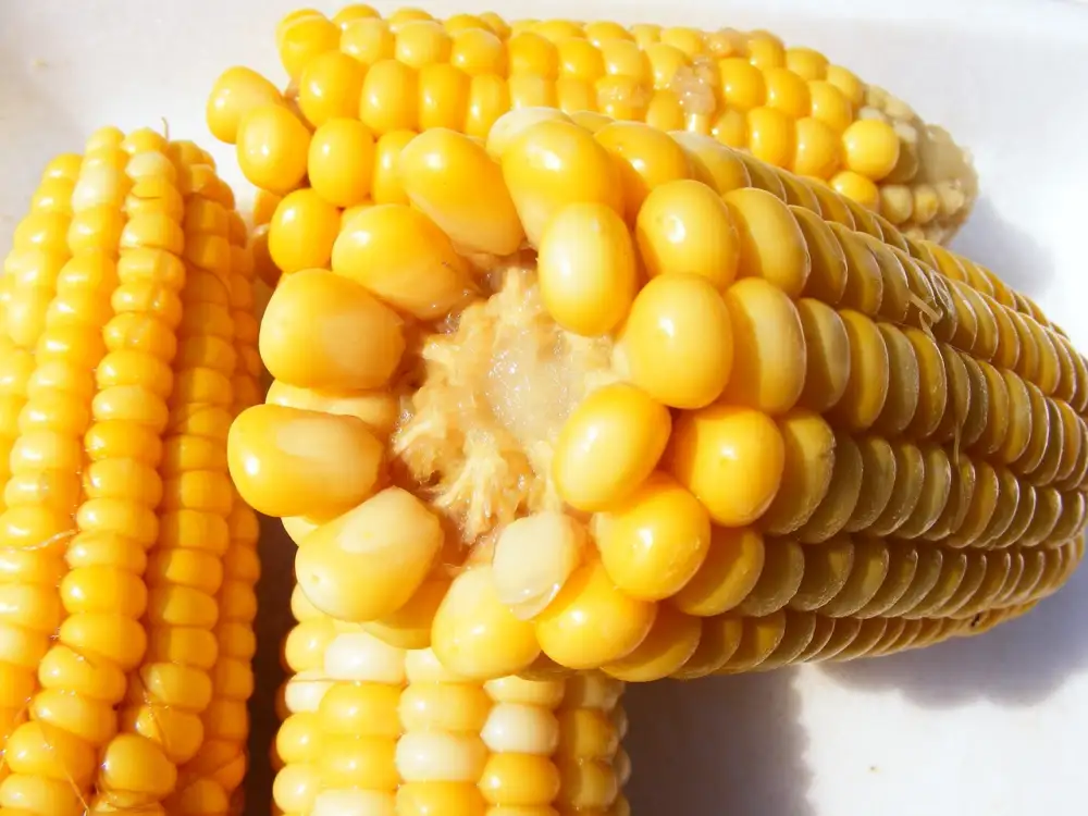 How To Boil Corn On The Cob